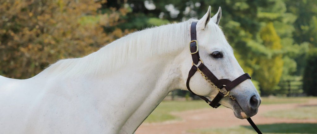 tapit-reshoot-9_15-02a